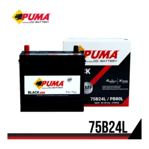 แบตเตอรี่ Puma 75B24L (PB80L) 58Ah แบตแห้ง ร้านแบตเตอรี่รถยนต์อุดรธานี